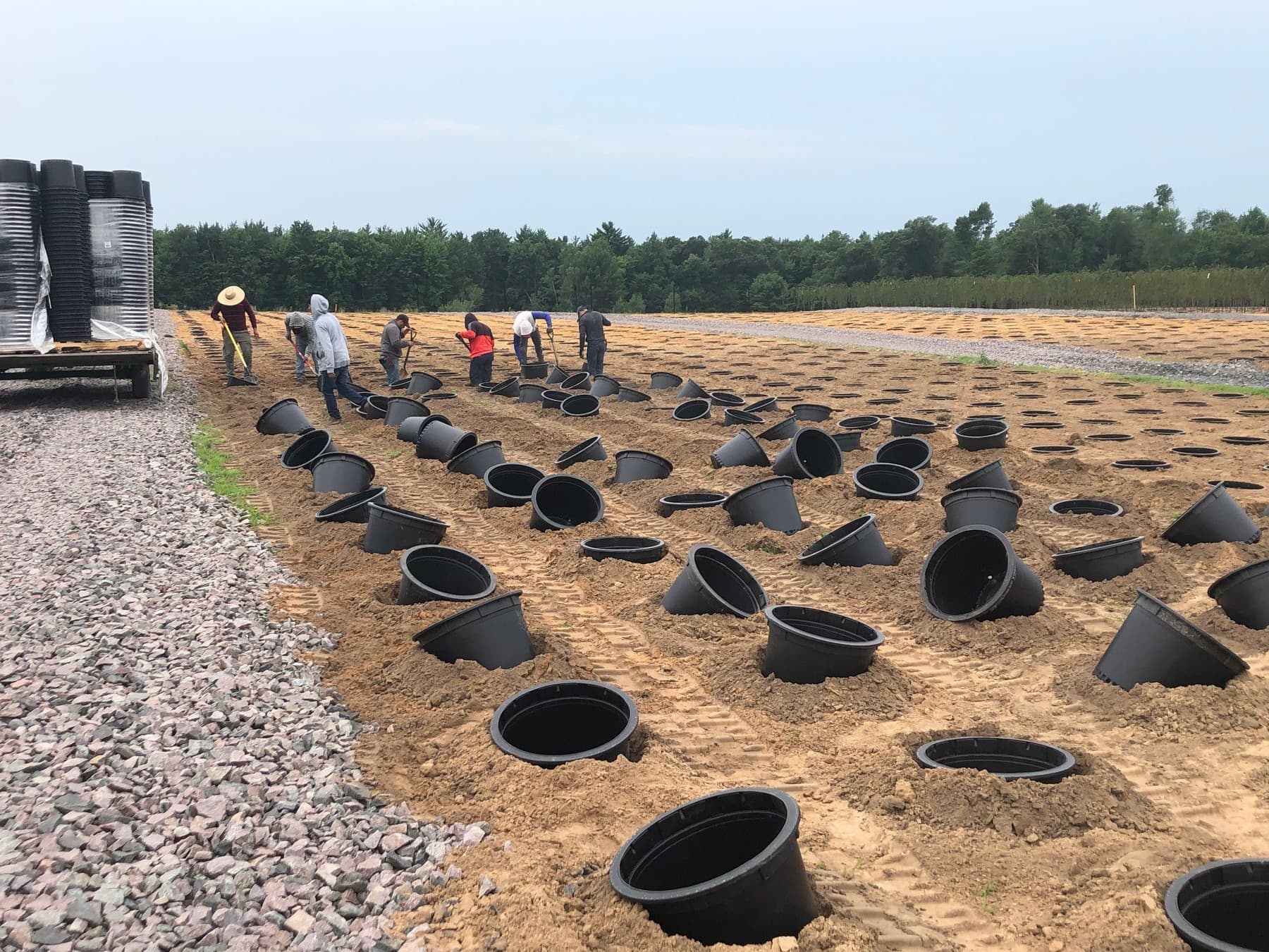 Evans pots