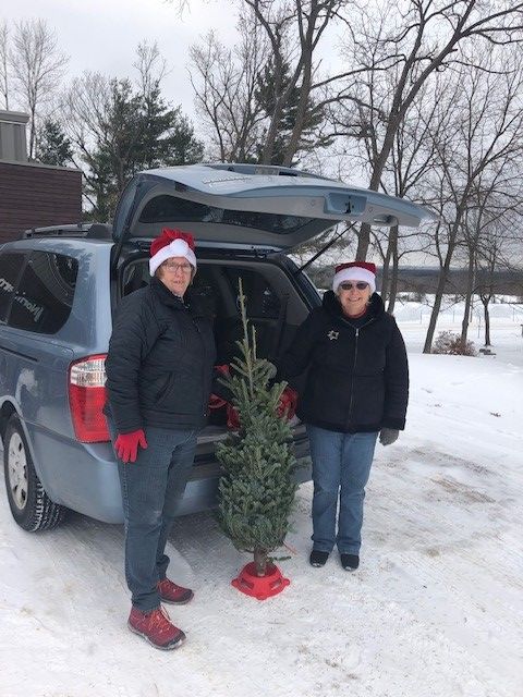 Wholesale Christmas Trees