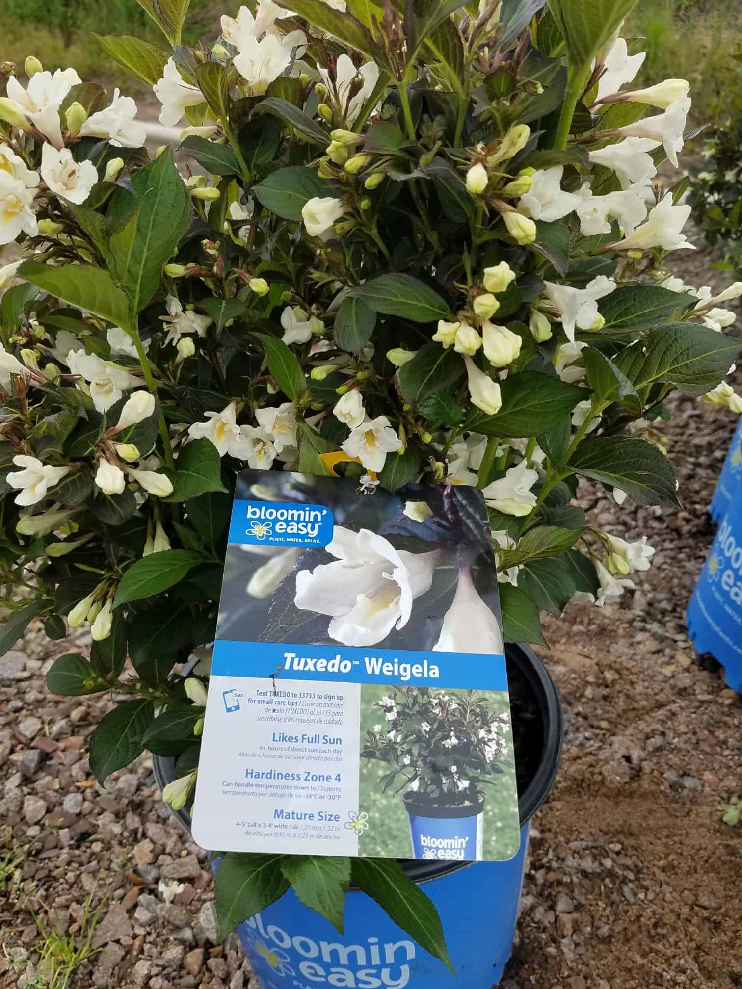 Northern Family Farms Nursery Plants